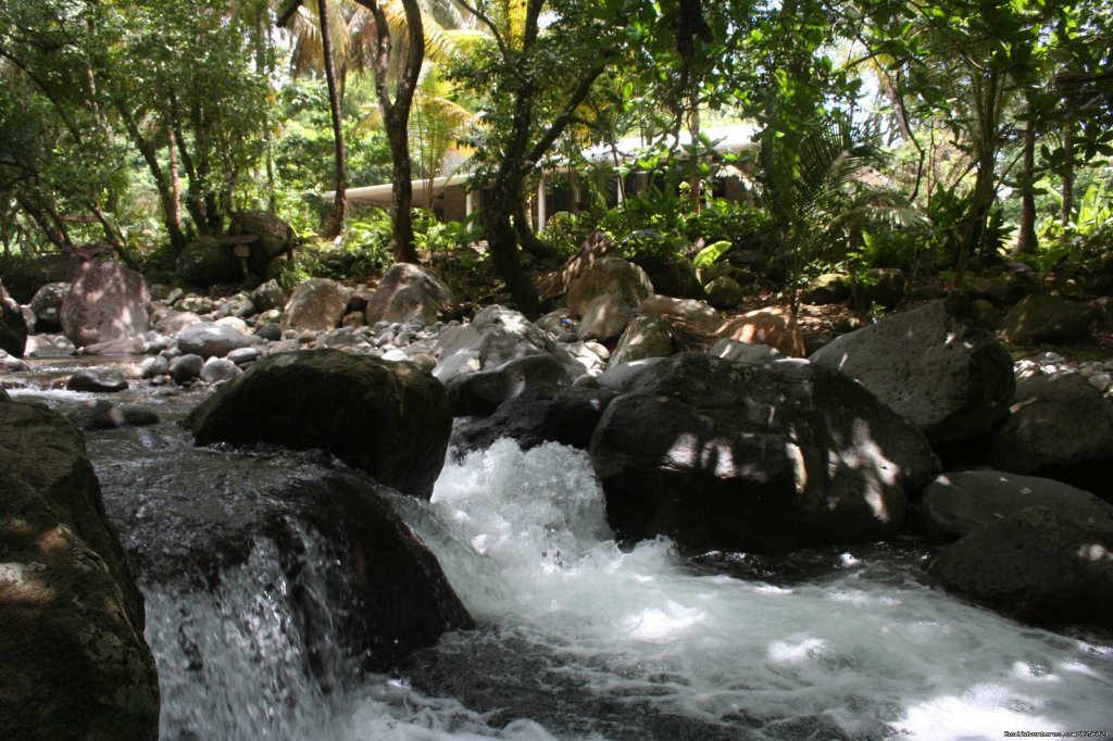 Riverside cafe | Riverside Glamping in Dominica | Image #17/24 | 