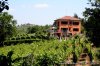 Holiday Home I Due Padroni - Wine region Milan | Montecalvo Versiggia, Italy