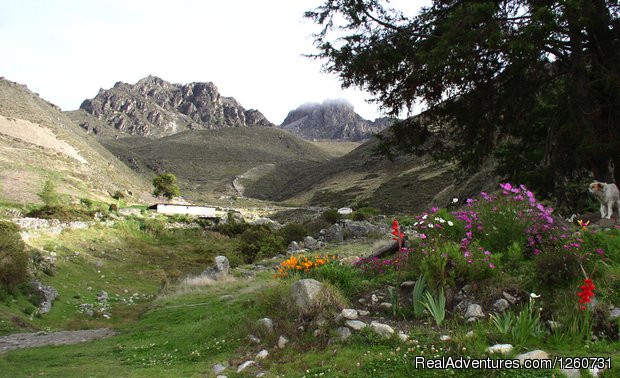 Misinta, Venezuela Andes | Vuelta a Los Paramo 4 days / 3 Nights | Image #11/13 | 