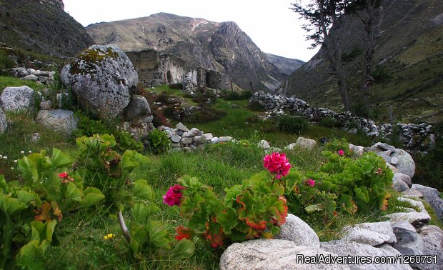 Venezuela Andes | Vuelta a Los Paramo 4 days / 3 Nights | Image #8/13 | 