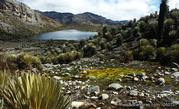 Venezuela Andes | Vuelta a Los Paramo 4 days / 3 Nights | Image #9/13 | 