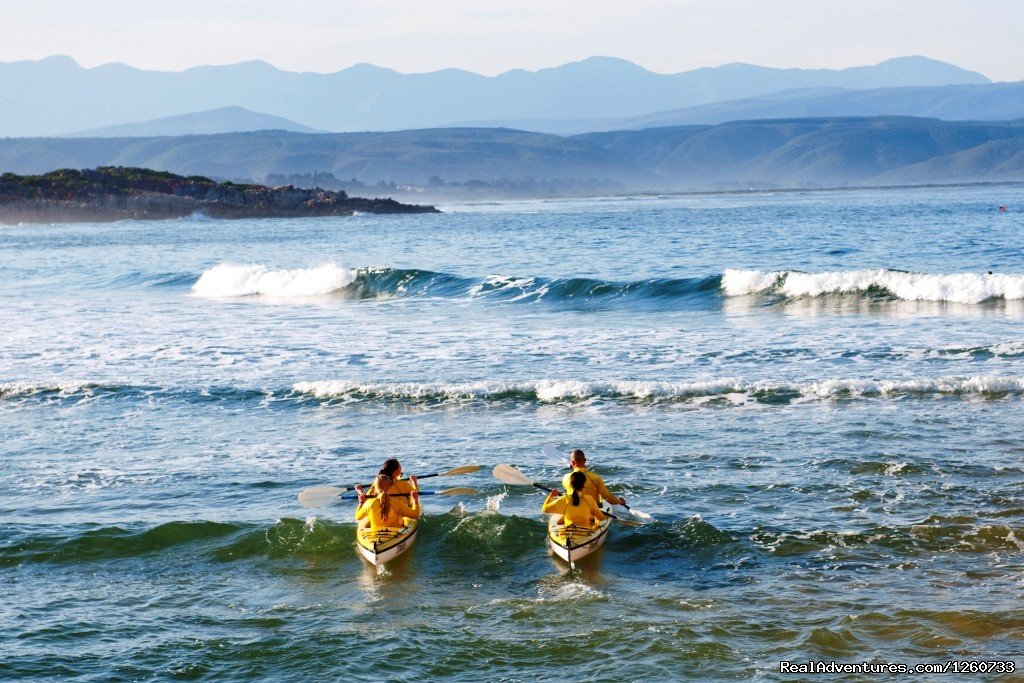 Dolphin Adventures Sea Kayaking | Image #7/8 | 