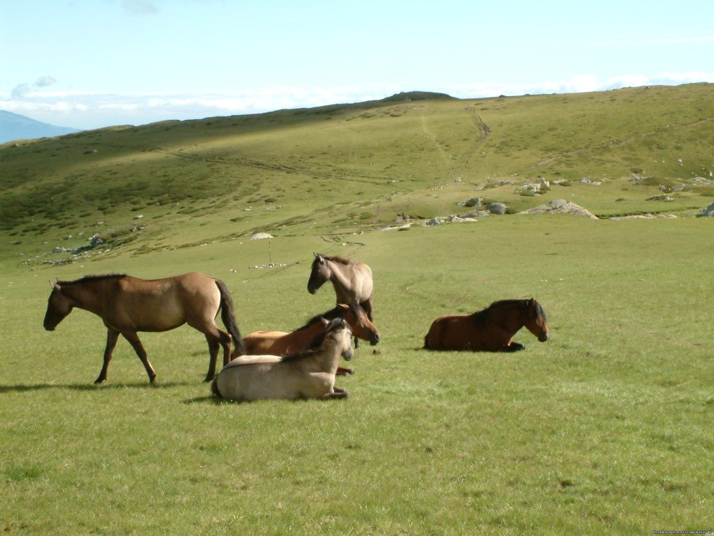 Rila-Pirin Mountain Trek (Bulgaria), guaranteed de | Image #12/22 | 