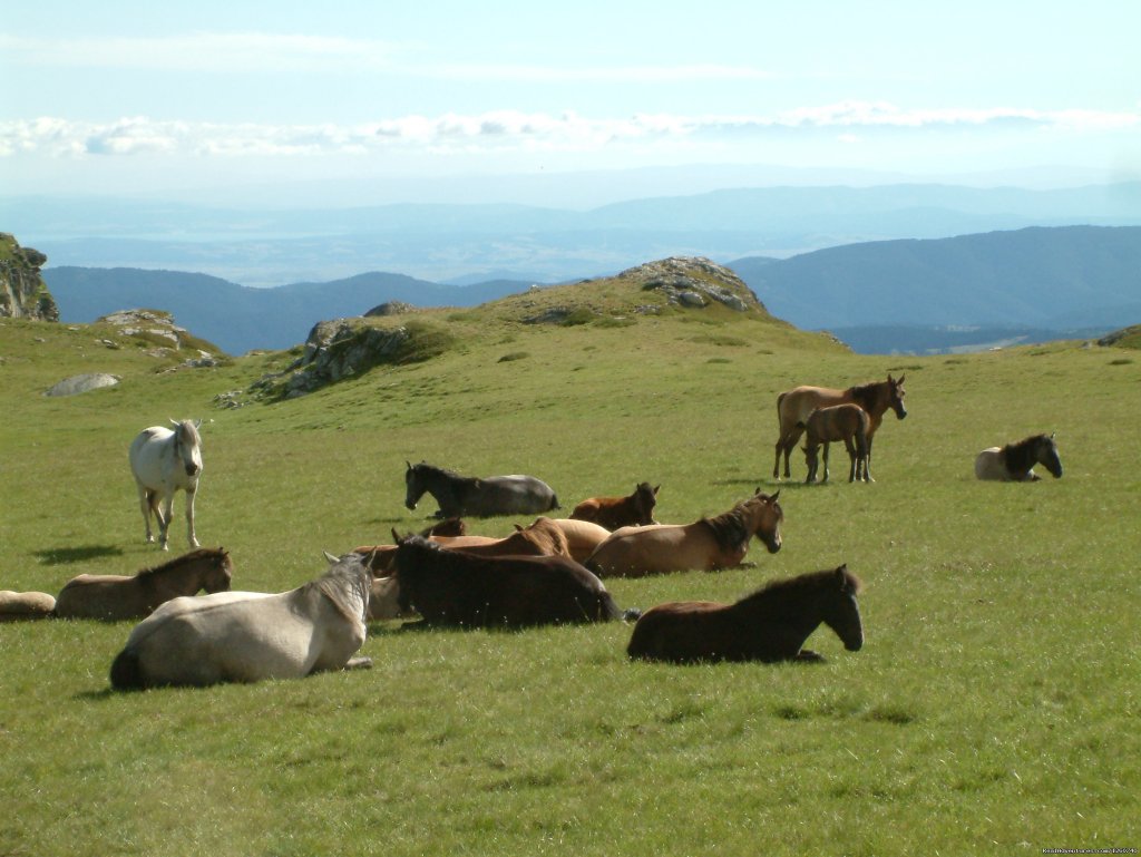 Rila-Pirin Mountain Trek (Bulgaria), guaranteed de | Image #13/22 | 