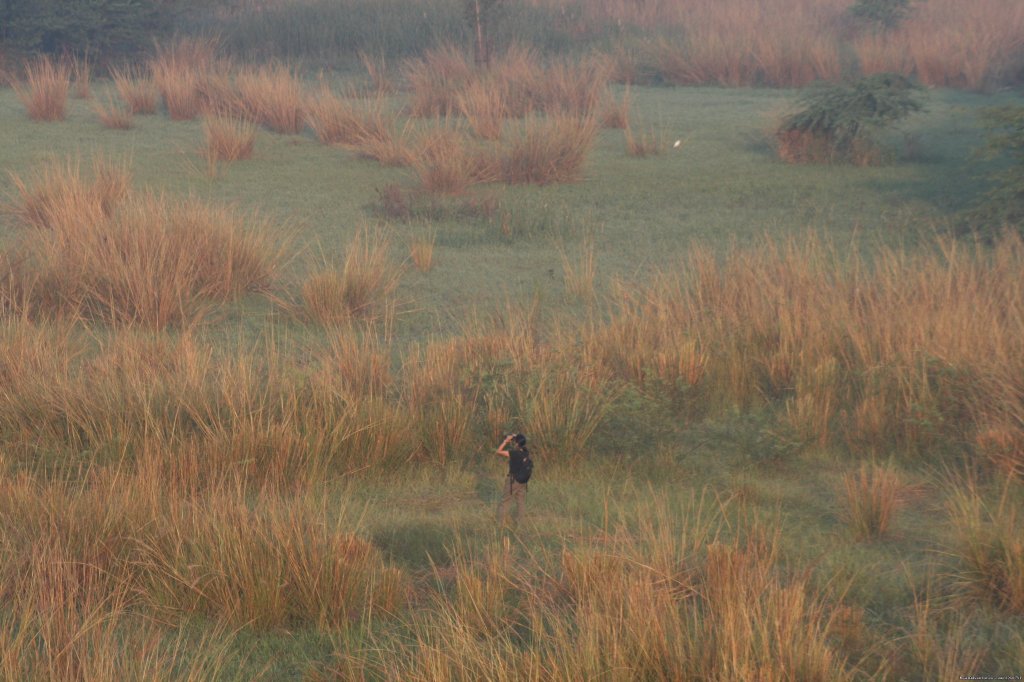 Birding Near New Delhi | Birding in India | Image #2/16 | 