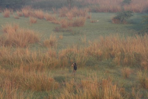 Birding Near New Delhi