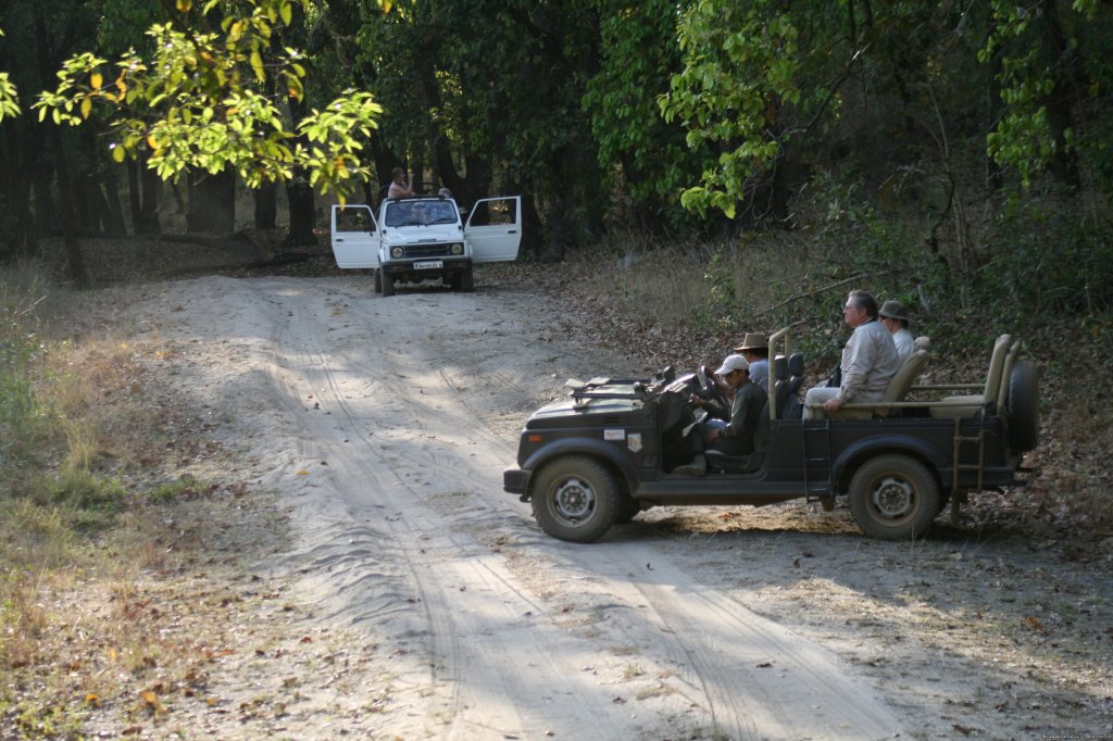 Birding In The Forests | Birding in India | Image #7/16 | 