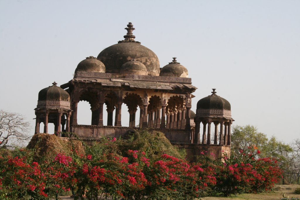 At Ranthambhore | Birding in India | Image #15/16 | 