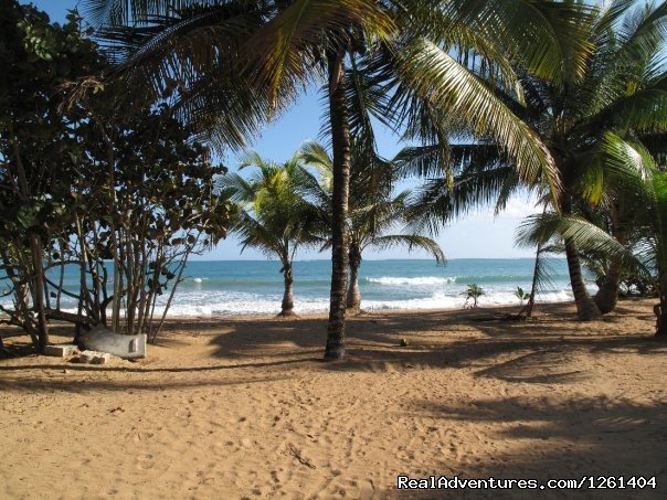 Out to the beach | Puerto Rico Beach Apartment | Image #9/10 | 