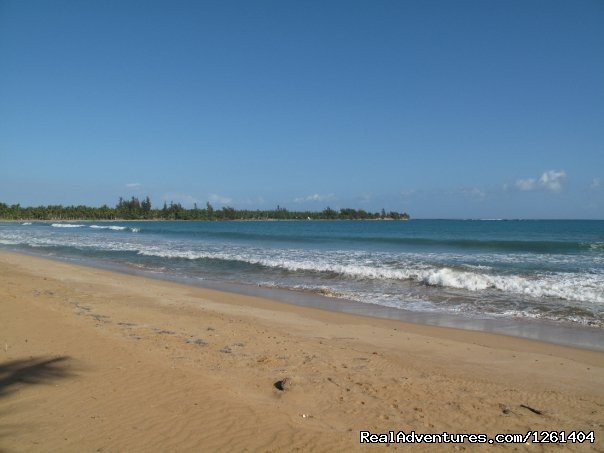 Puerto Rico Beach Apartment | Image #10/10 | 