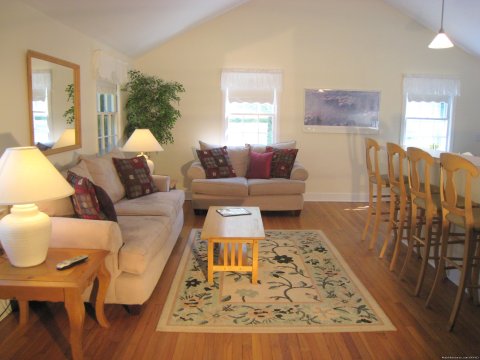 Brightly lit living room with vaulted ceilings