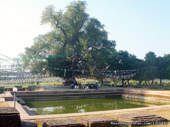 Lumbini Bodhi | Visit Lumbini Birth Place of Lord Buddha | Image #2/8 | 