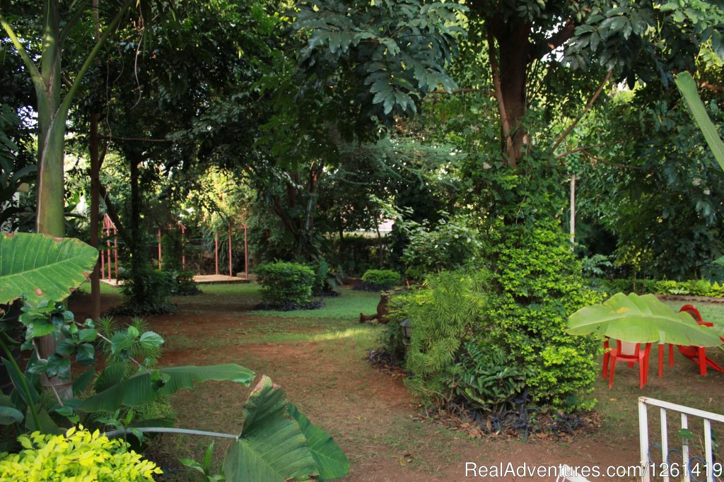 Backview | Kilimanjaro Safaris Lodge | Image #11/13 | 