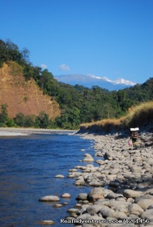 Namdapha National Park Rainforest Tour And Trek | Miao, India | Hiking & Trekking