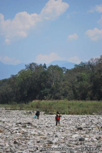 Landscape | Namdapha National Park Rainforest Tour And Trek | Image #8/11 | 