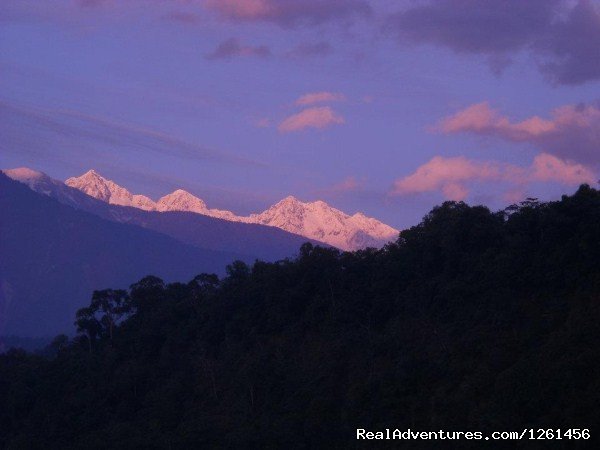 Landscape | Namdapha National Park Rainforest Tour And Trek | Image #9/11 | 