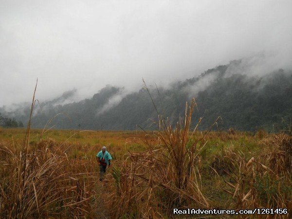 Landscape | Namdapha National Park Rainforest Tour And Trek | Image #10/11 | 