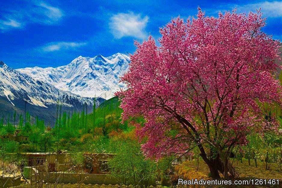 Hunza Adventure Tours | Treks To Gondogoro La | Image #11/14 | 