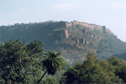 Fort In The Middle Of The Jungle