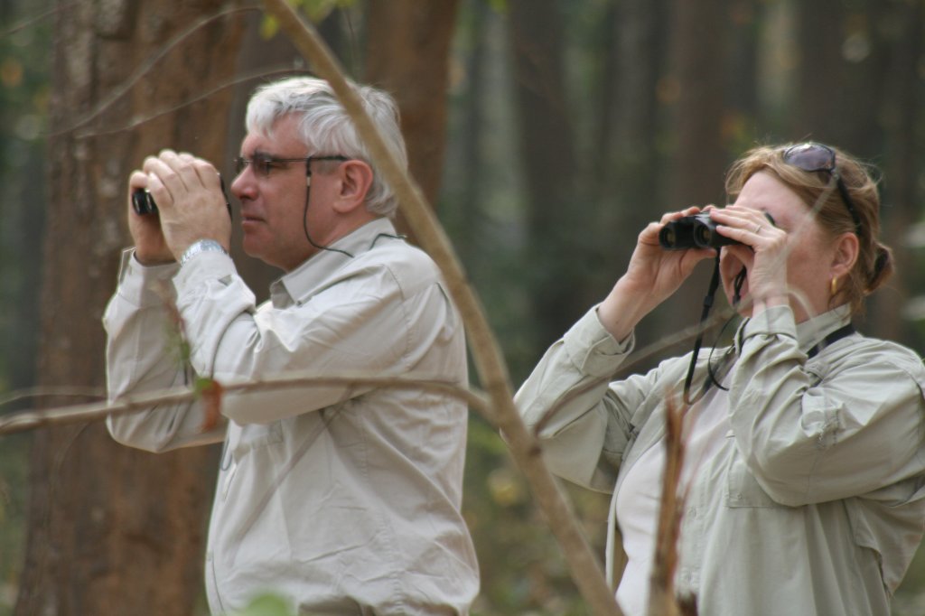 Birding At Tal Chapper | Image #3/6 | 