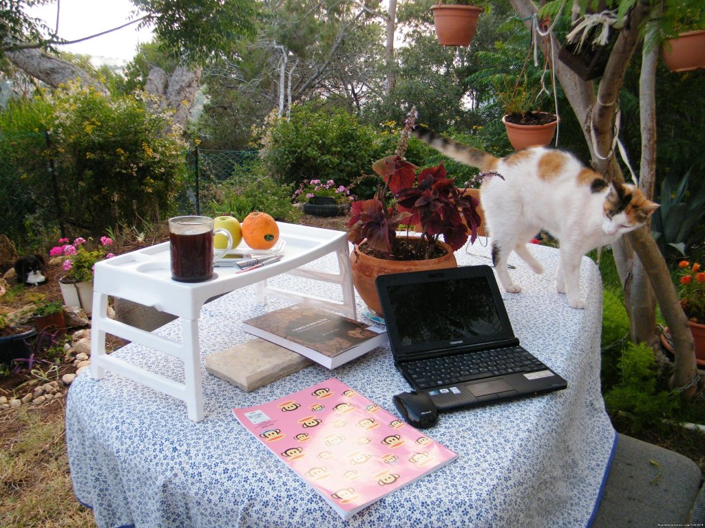 Out Door Yard With A Table And Chairs | Stella- Maris Hosting: Vacation  Rental | Image #12/17 | 