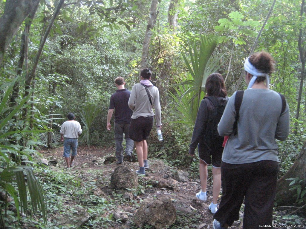 Punta Laguna | Bike Tour To Two Cenotes And To A Mayan House | Image #6/14 | 