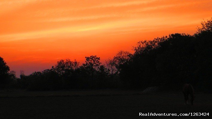 sunset of Budhanagar | Horseback Riding  yoga and reiki in Nepal | Image #6/13 | 