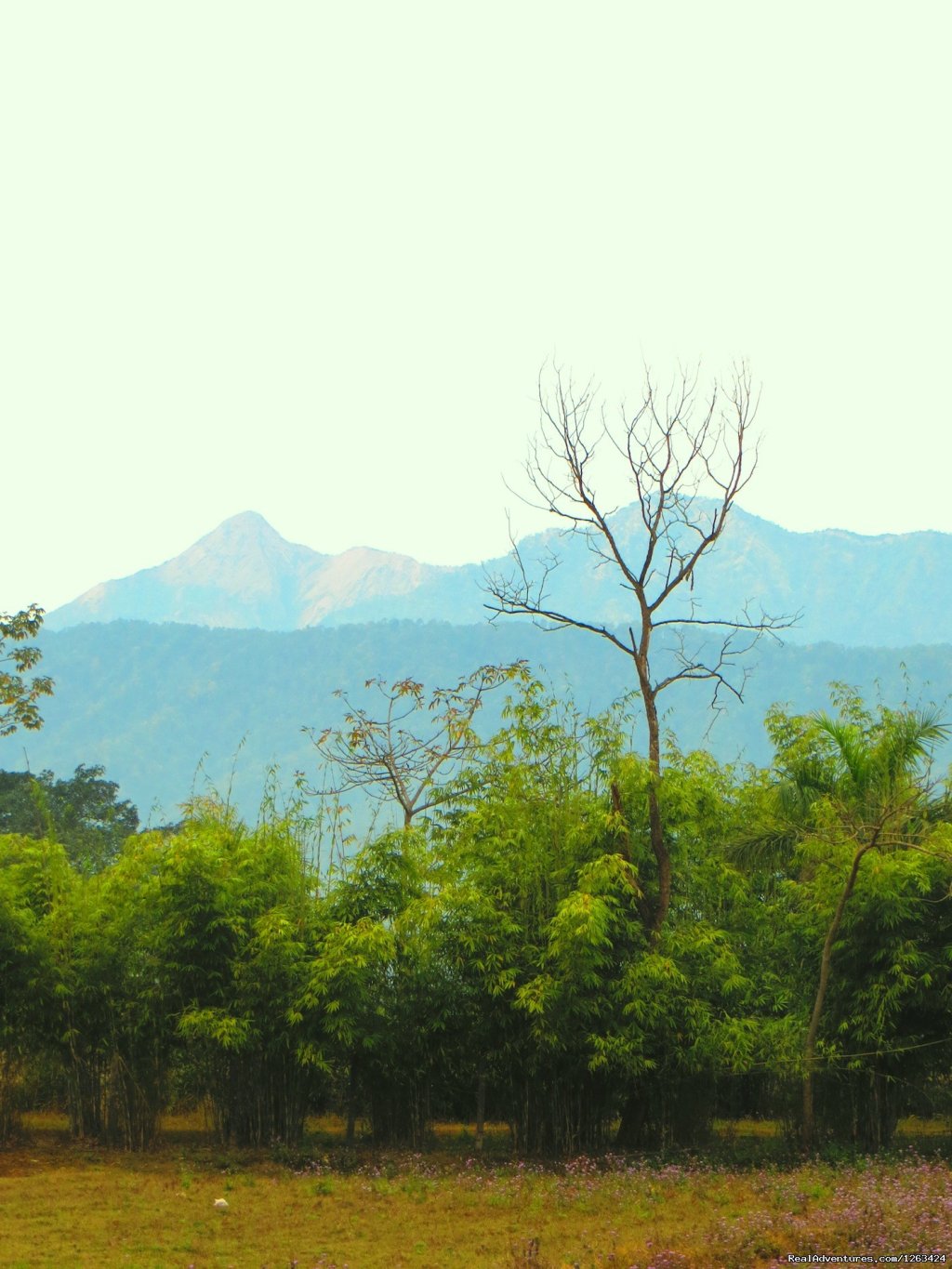 Horseback Riding  yoga and reiki in Nepal | Image #8/13 | 