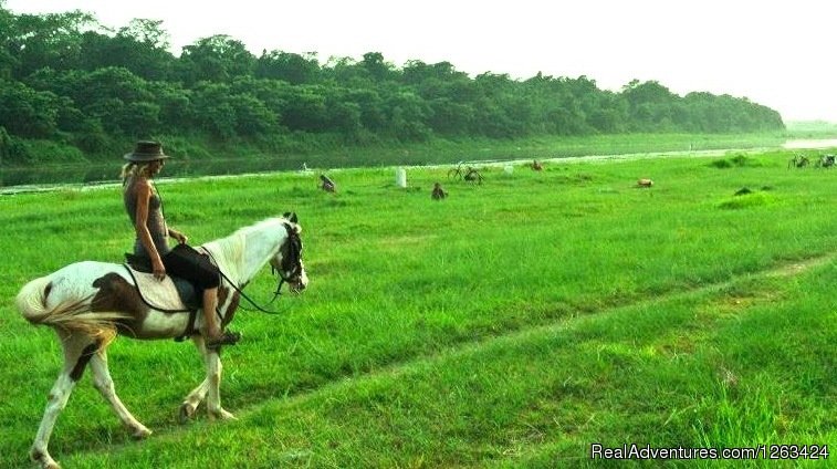 Ghat Gai Safari | Horseback Riding  yoga and reiki in Nepal | Image #12/13 | 