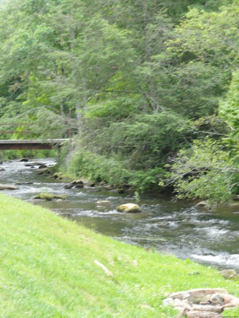 Creek in Front of Cabin