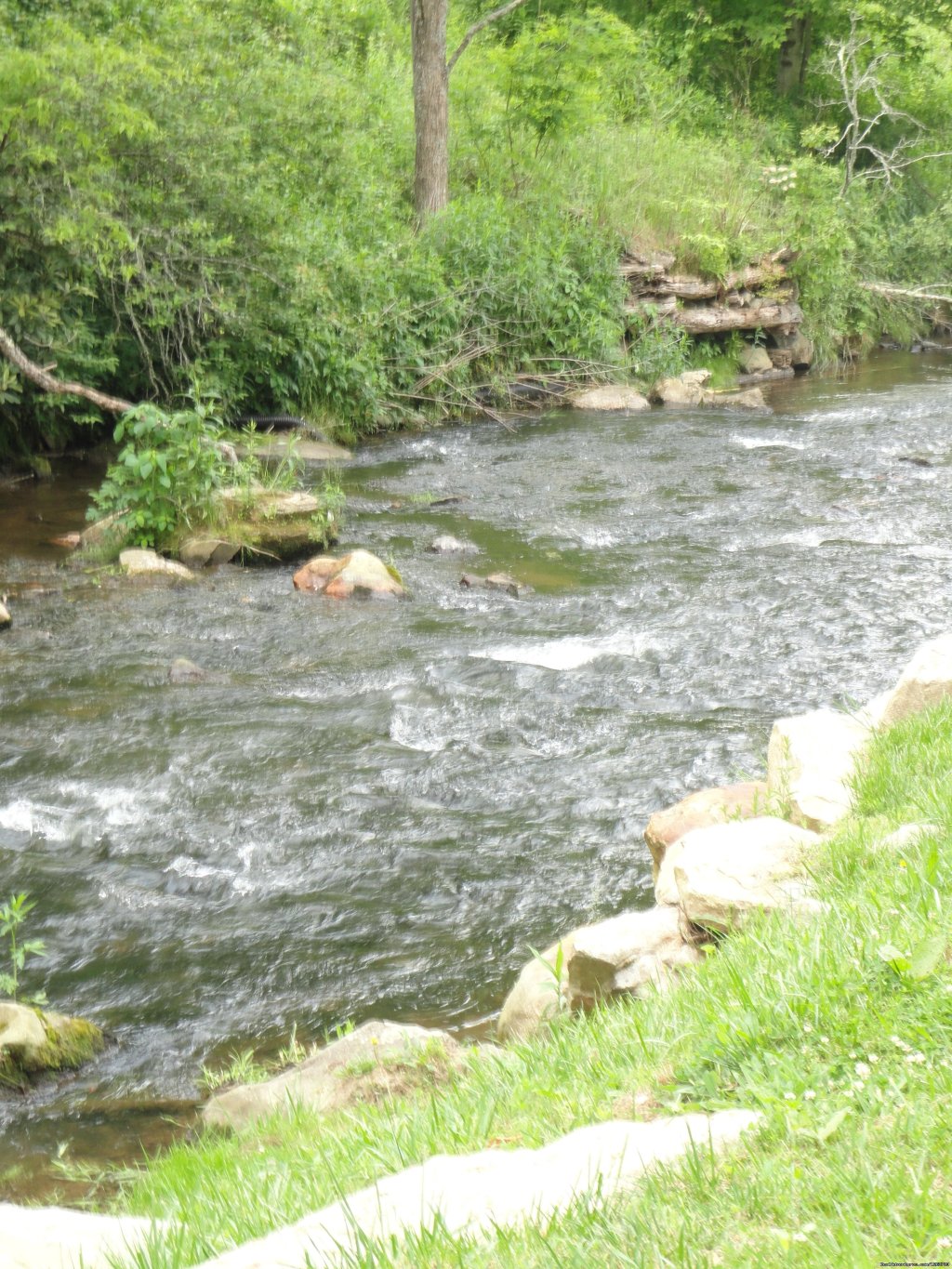 Additional Pictures of Creek | Luxury Cabin on Beautiful Mt Stream $199/nightly | Image #6/20 | 