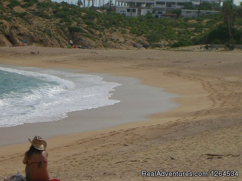 Hacienda Los Cabos 2 Bdrm Condo. Great Rates.clean | Image #11/16 | 