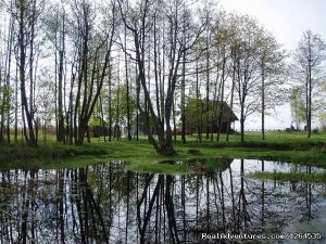 Accommodation in Saaremaa