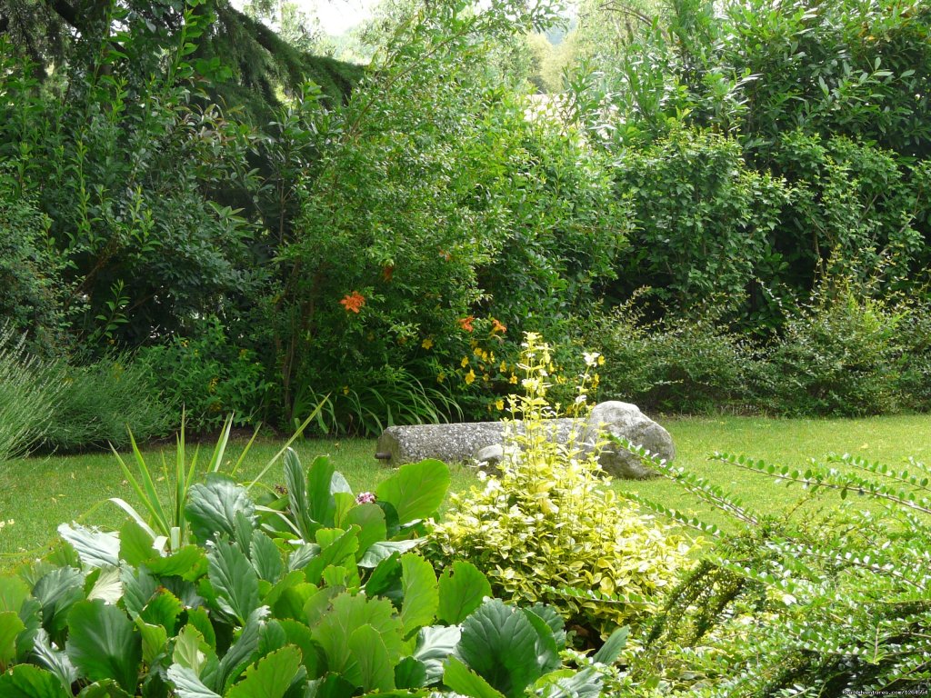 Garden | Garda Lake and Hills | Image #4/18 | 