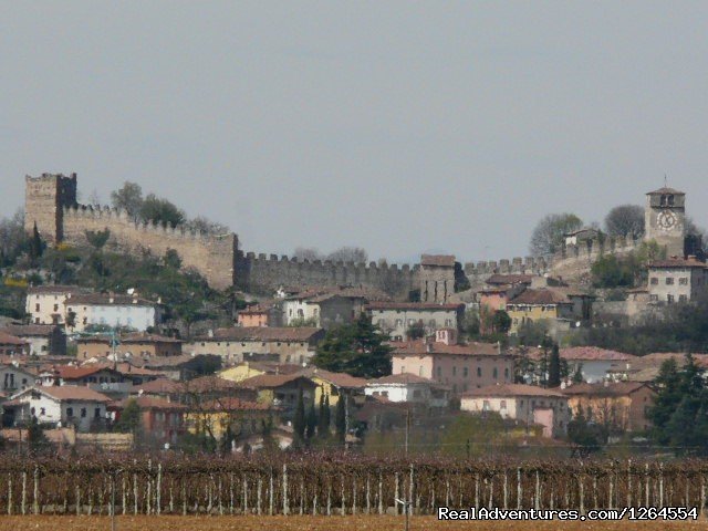 Monzambano | Garda Lake and Hills | Image #17/18 | 