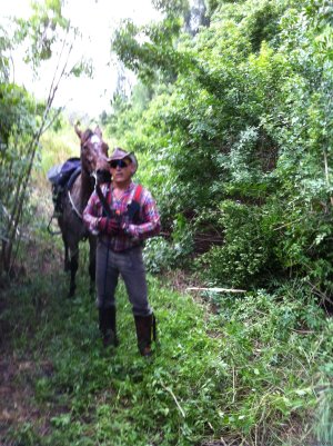 Just Horsin' Around Ranch | Boynton Beach, Florida | Horseback Riding & Dude Ranches