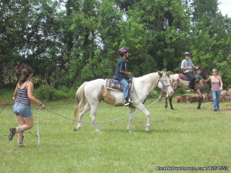 Just Horsin' Around | Just Horsin' Around Ranch | Image #7/7 | 