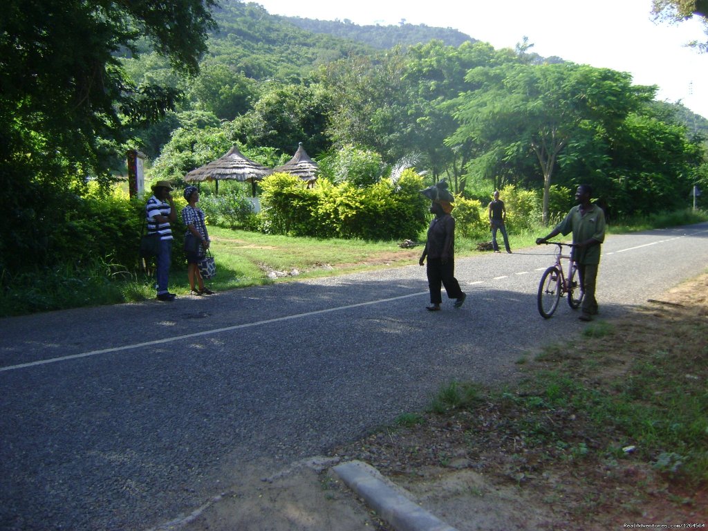 Black Star Lions' roadside view. | Black Star Lions' Guest Cottages | Akosombo, Ghana | Bed & Breakfasts | Image #1/24 | 