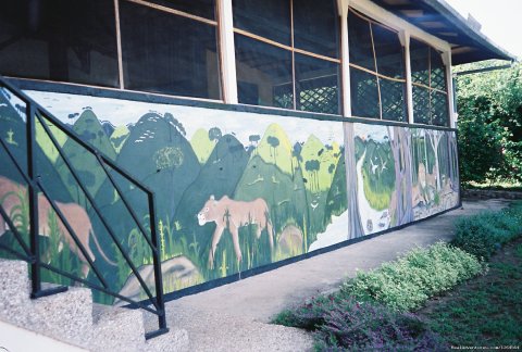 The Black Star Lions' mural