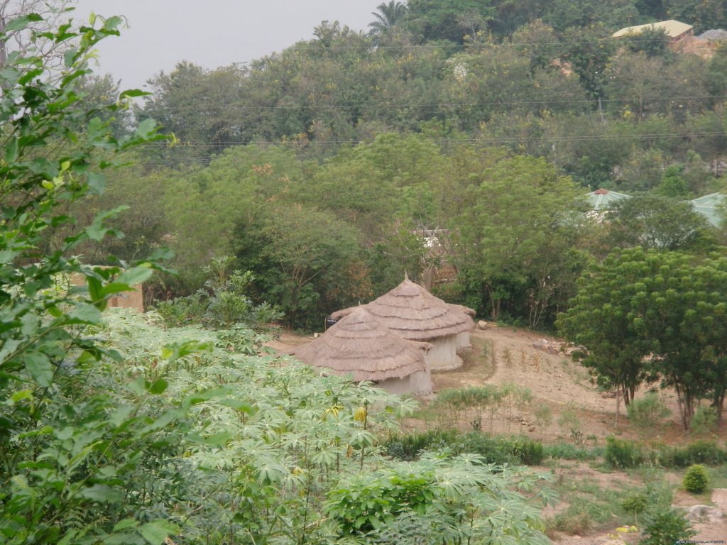 Cottage view from the hillside. | Black Star Lions' Guest Cottages | Image #18/24 | 