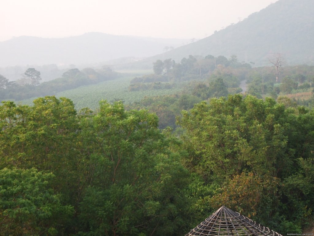 View of the hillside | Black Star Lions' Guest Cottages | Image #19/24 | 