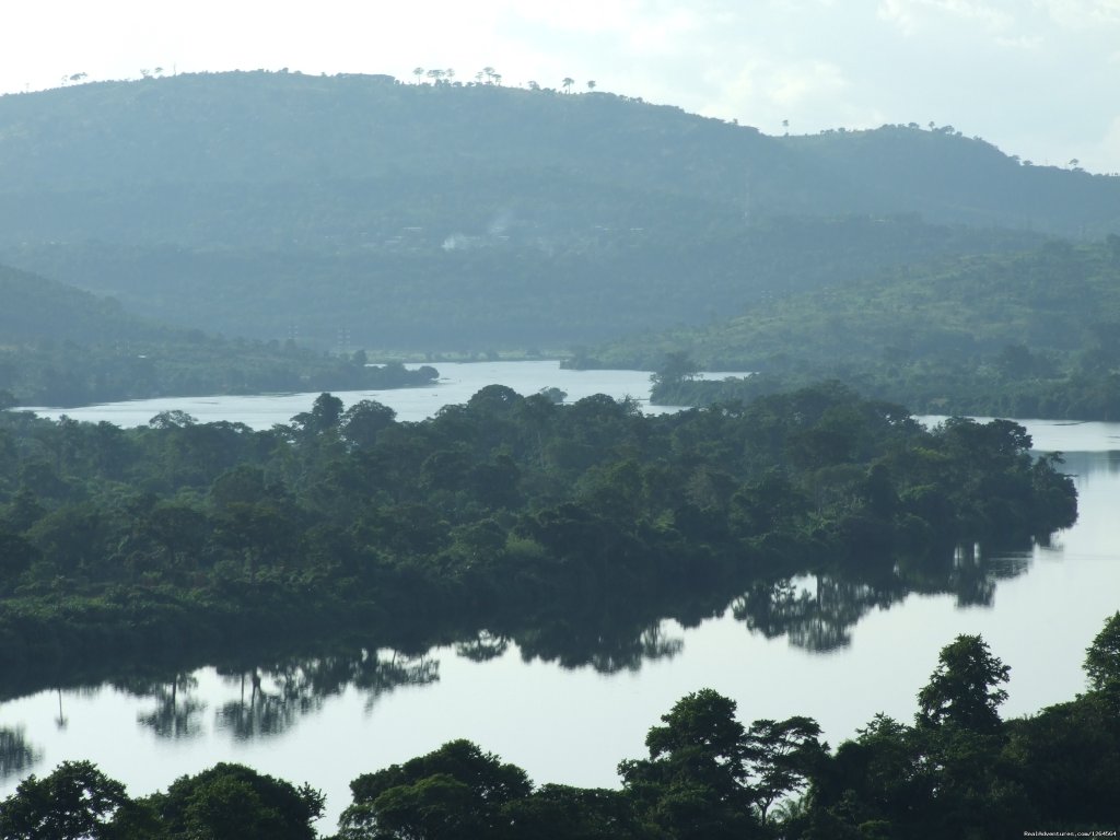 River View From The Hillside | Black Star Lions' Guest Cottages | Image #22/24 | 