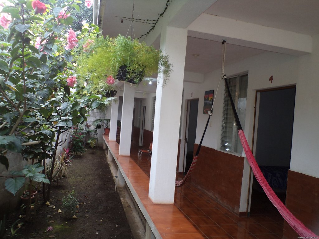 Hostel Miguel Bed And Breakfast | Image #9/18 | 