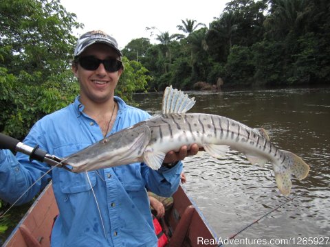 Fishing On Bass, Tarpon, Redtail, Shuffelnose And More...