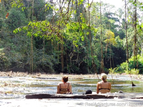 Panaroma View To The Jungle, Relax And Enjoy