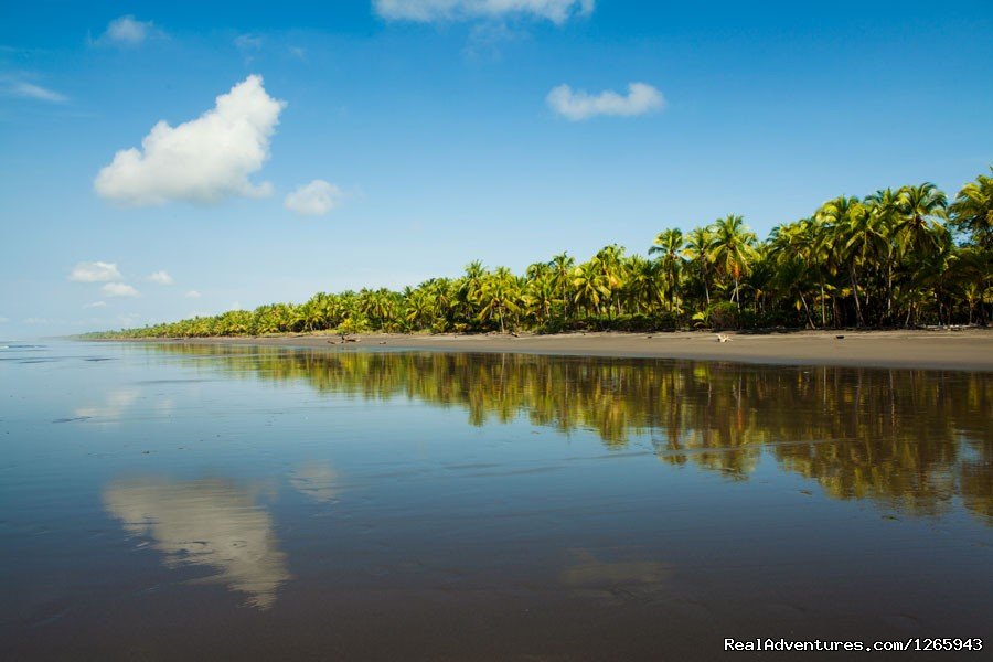 Palo Seco beach | Clandestino Beach Resort beachfront boutique hotel | Image #9/25 | 