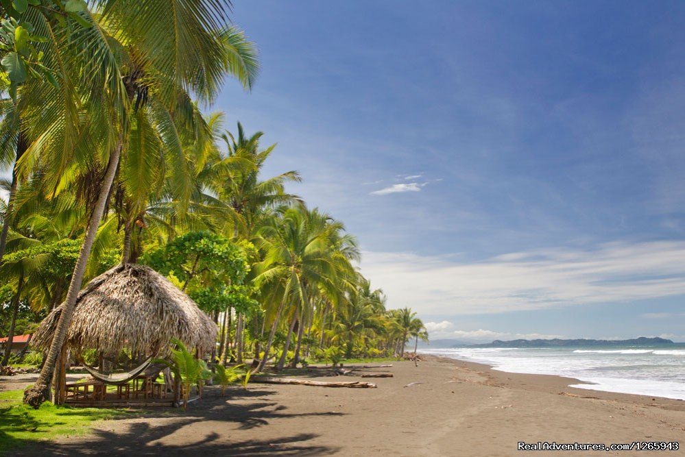 Palo seco beach in front of the hotel | Clandestino Beach Resort beachfront boutique hotel | Image #10/25 | 