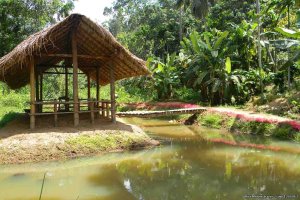 Ayurvedic & yoga Retreat Center | Sri Lanka, Sri Lanka | Yoga Retreats & Programs