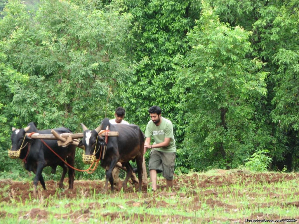 Village Tours - Maharashtra, India | Image #3/4 | 