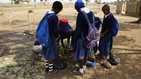 Tree planting with students